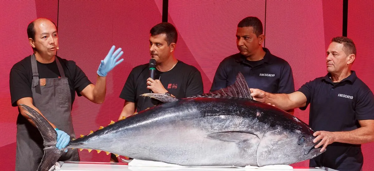 Atum de R$ 60 mil? Entenda por que o Bluefin custa tão caro