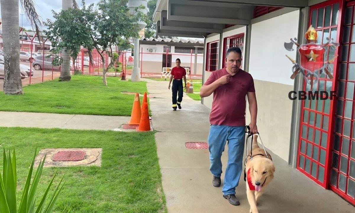 Fofura! Cães-guias dos bombeiros começam adaptação com tutores