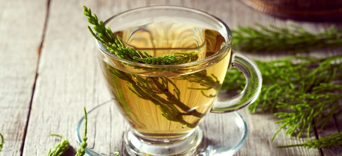 Vale a pena trocar o café pelo chá? Veja como não errar em nenhum preparo