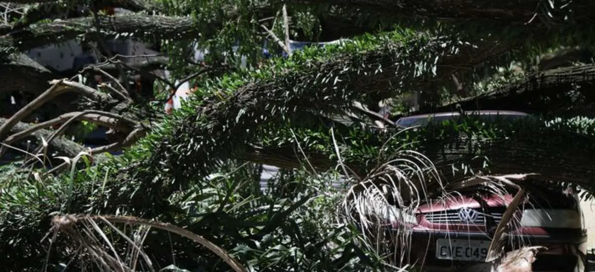 Inmet alerta para ventos de até 100 km/h em São Paulo e Rio de Janeiro