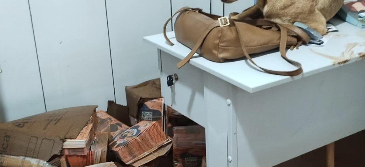 Chuva em Juiz de Fora: voluntários se mobilizam no resgate de animais