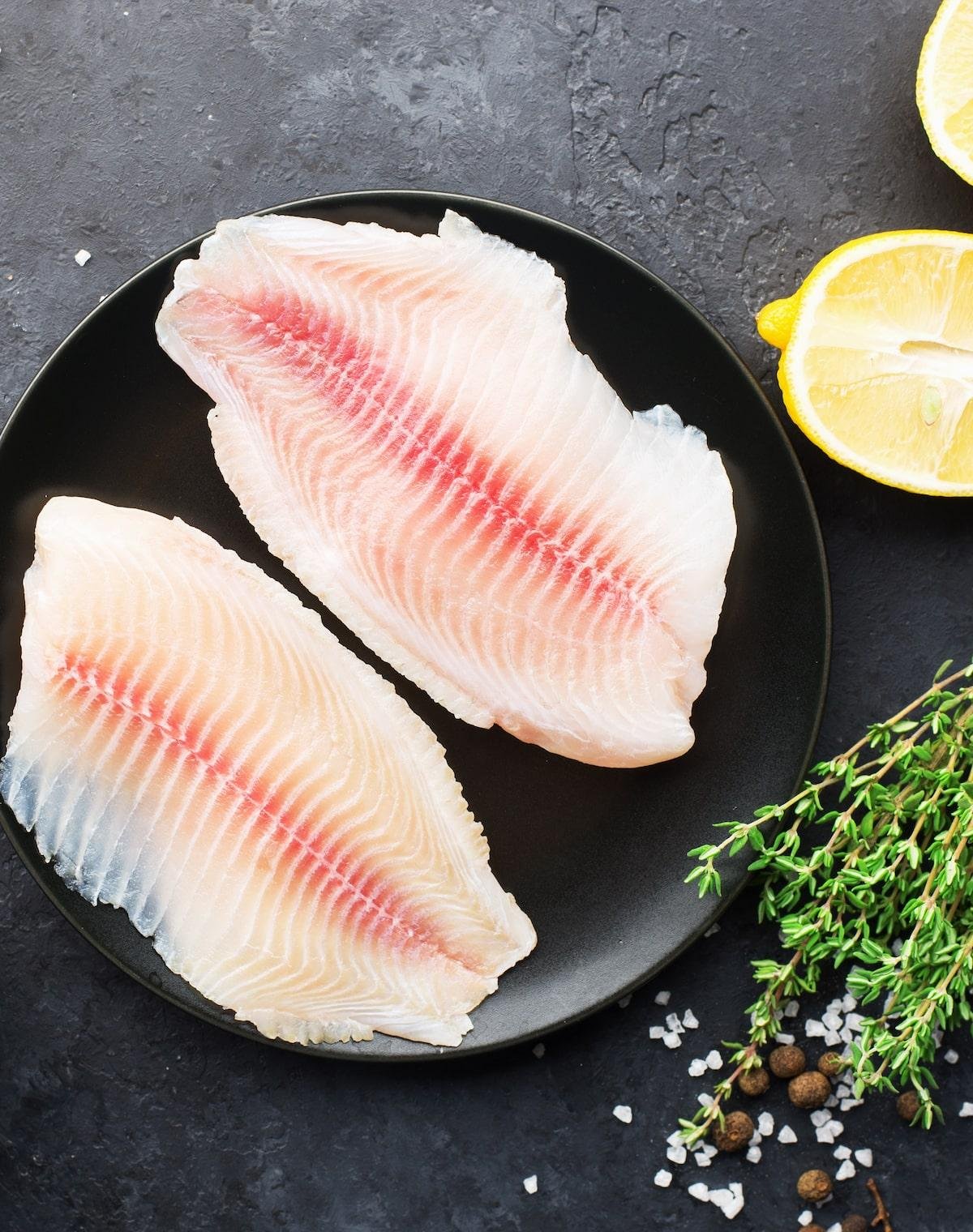 5 peixes ricos em proteína para incluir na alimentação