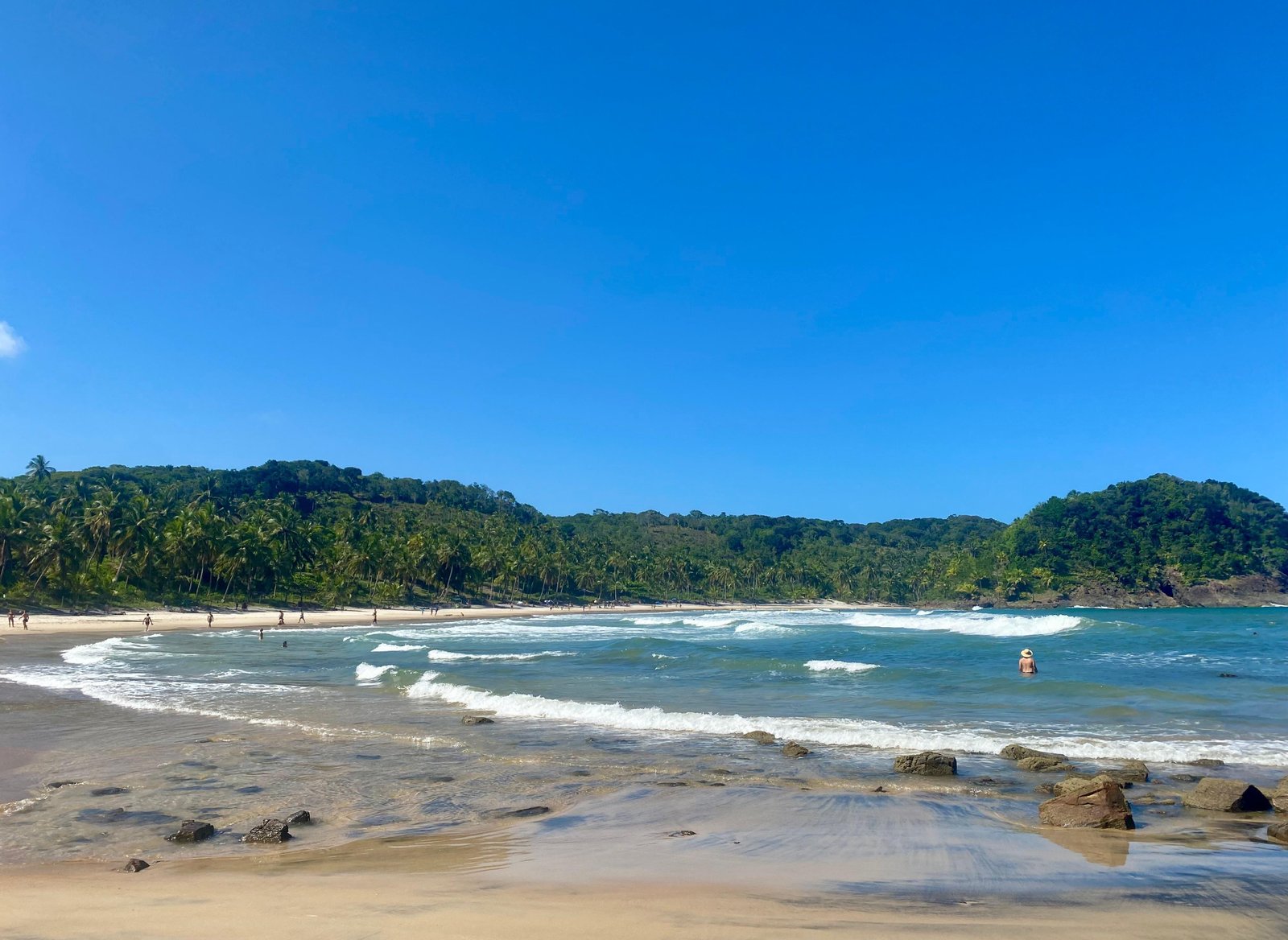 Tributação 'verde' pode transformar preservação do litoral baiano | G1