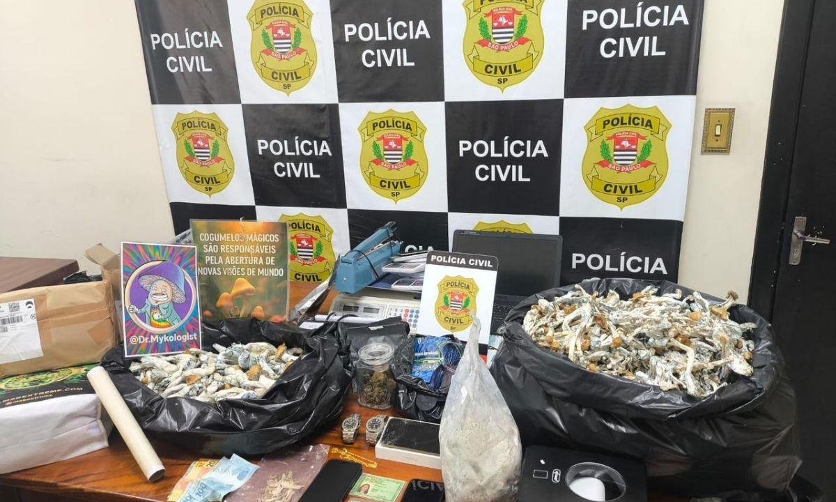 "Cogumelos mágicos": polícia prende homem em plantação de alucinógeno