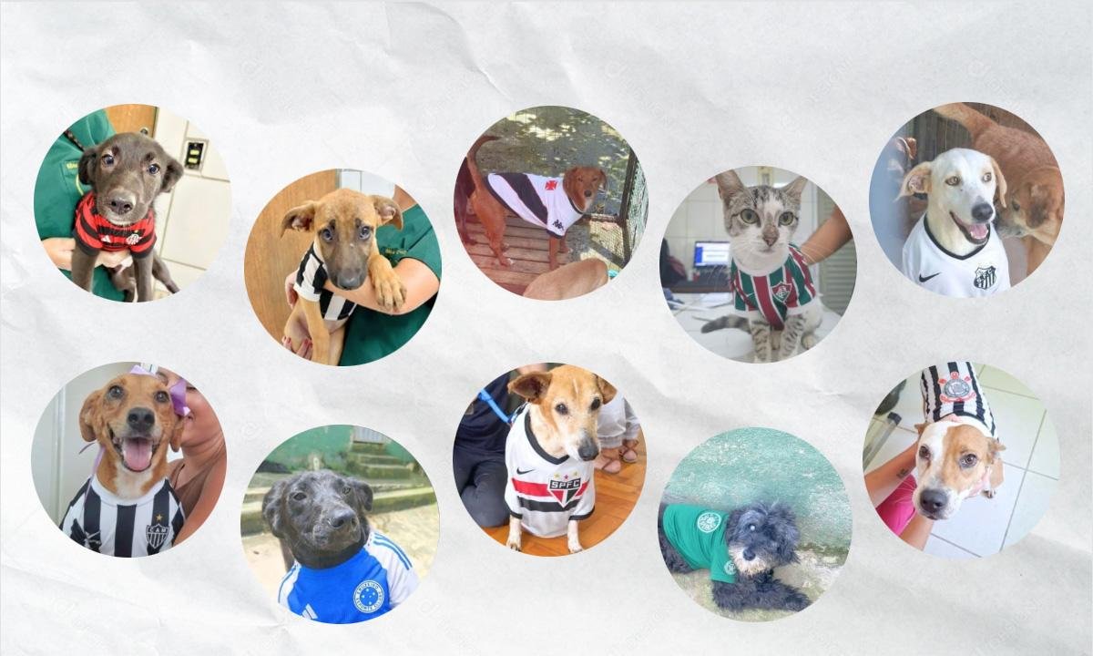Paquetá e Gabigol: pets ganham nomes de craques em campanha de adoção