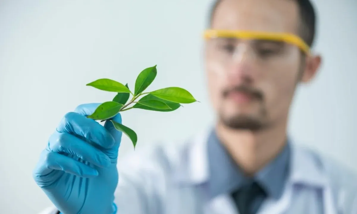 Tarcísio autoriza concurso para pesquisadores com salário de R$ 9 mil