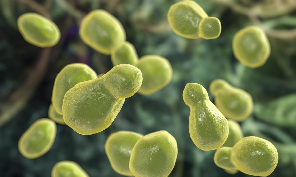 Infecto explica fungo que vai provocar amputação de pé em mulher no DF