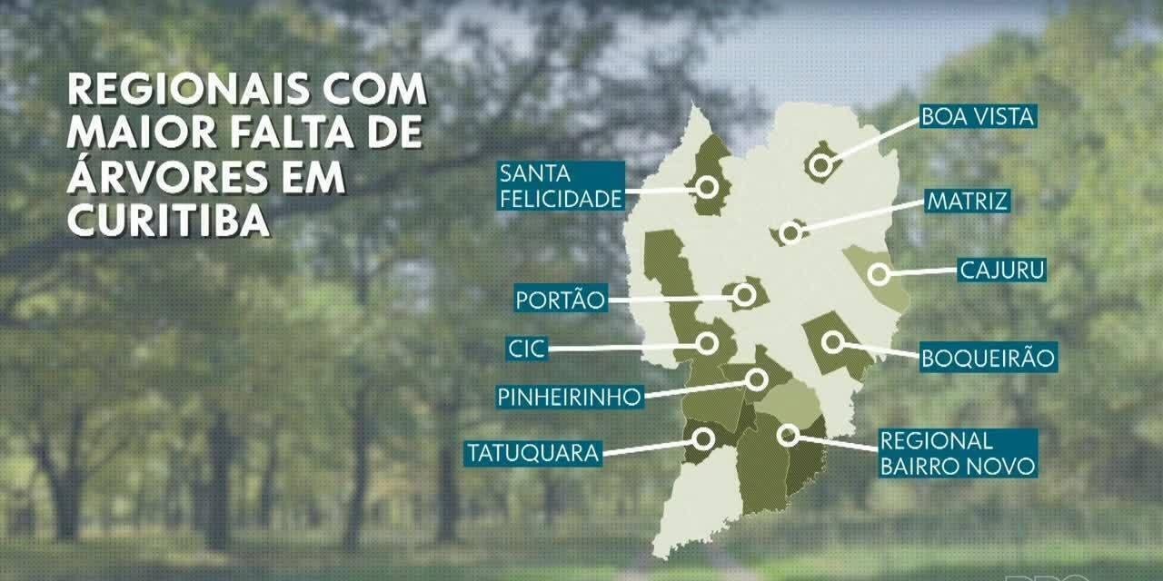 Curitiba tem potencial para plantar mais de 260 mil novas árvores | G1