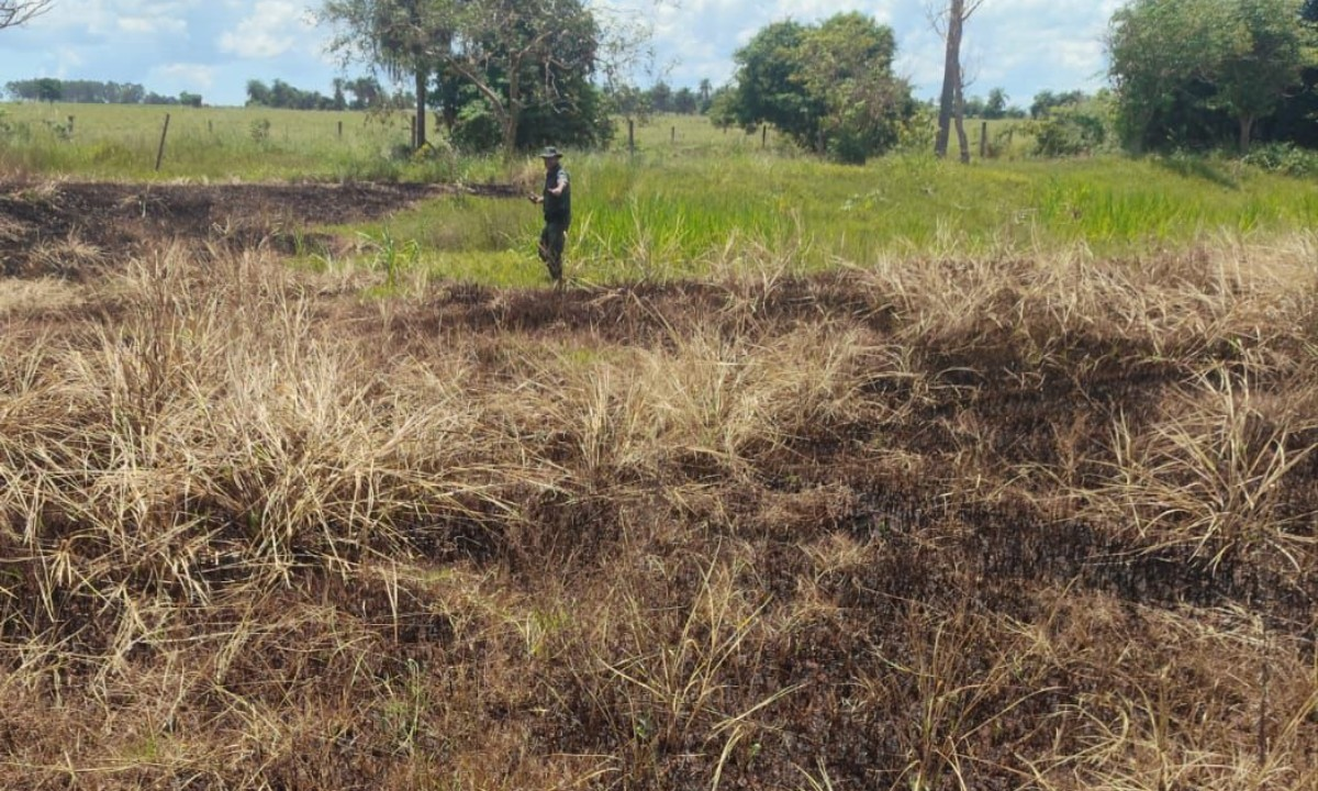 Homem é multado em R$ 1,2 mil por colocar fogo em área de vegetação | G1