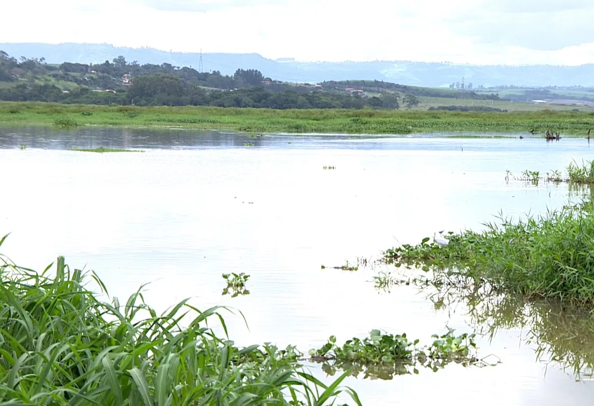 Estudo encontra 12 antibióticos no Rio Piracicaba
