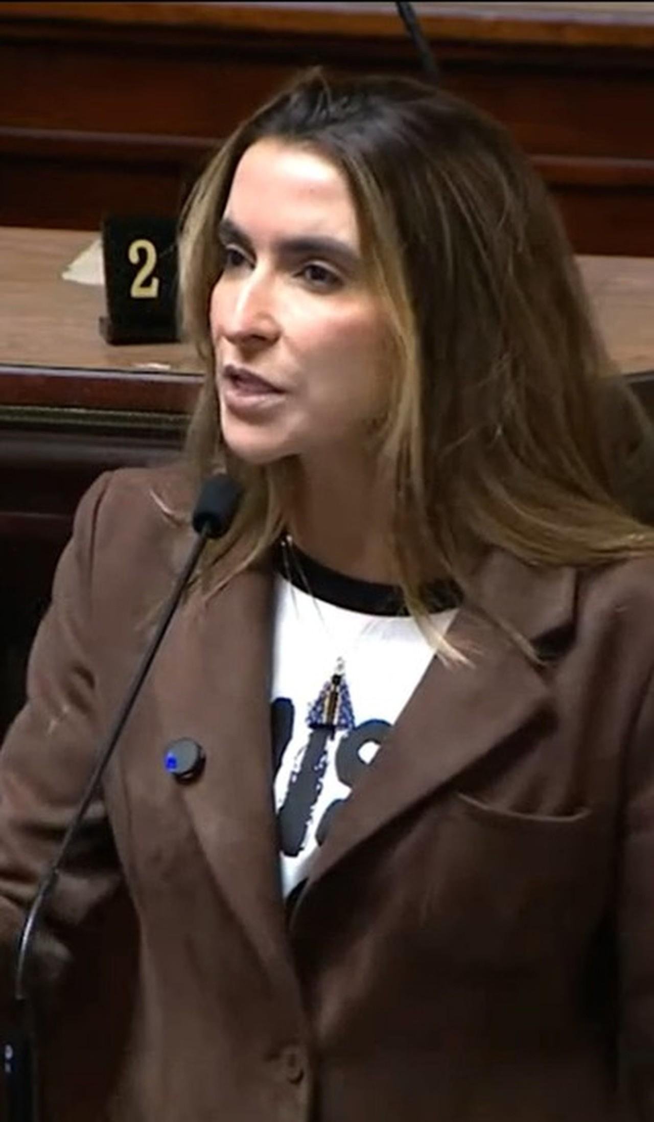 Vereadora volta a causar polêmica ao associar população de rua e criminalidade: 'Não dá para romantizar'; vídeo