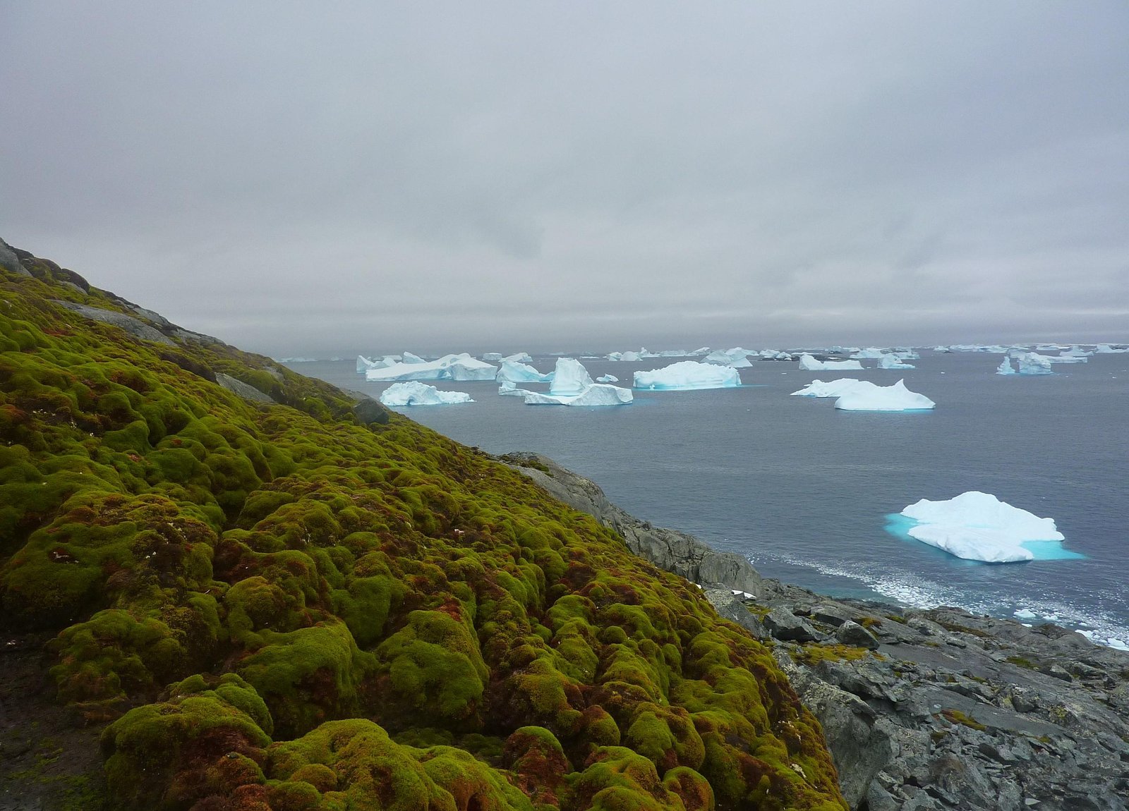 A chuva está chegando na Antártica e vai mudar a face do continente gelado | G1