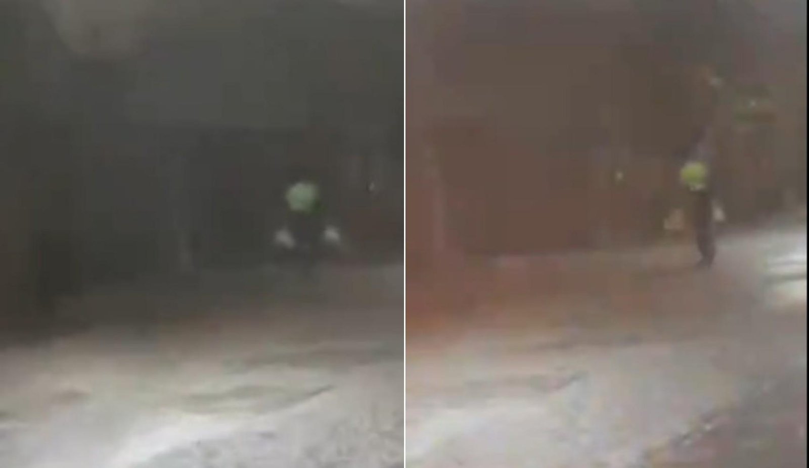 Gari advertido pela Prefeitura de Palmas após vídeo na chuva | G1