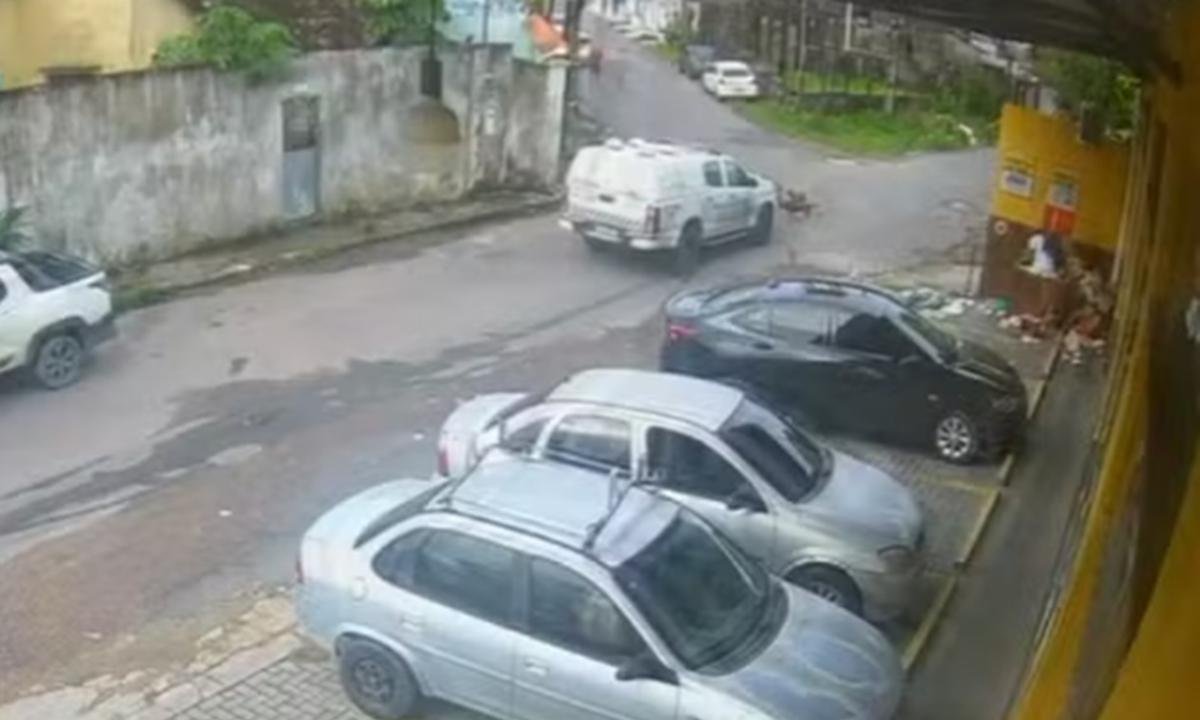 PMs são afastados após viatura atropelar e matar cão em Manaus