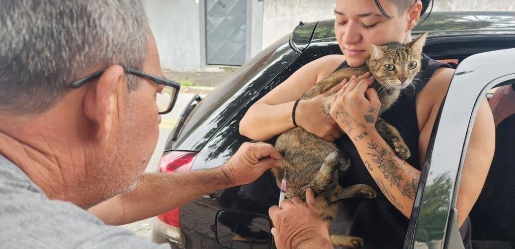Taubaté realiza vacinação antirrábica para pets no bairro Belém