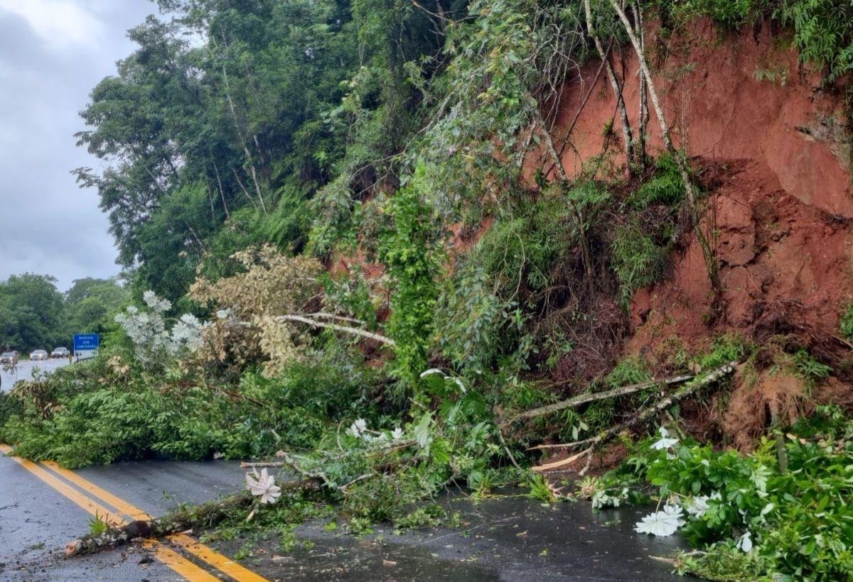 Deslizamento de terra interdita a Rodovia Padre Manoel da Nóbrega | G1