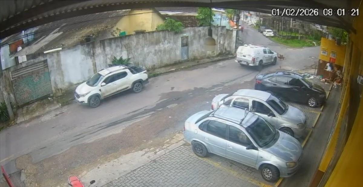 Policial é preso suspeito por atropelar e matar cães em Manaus | G1