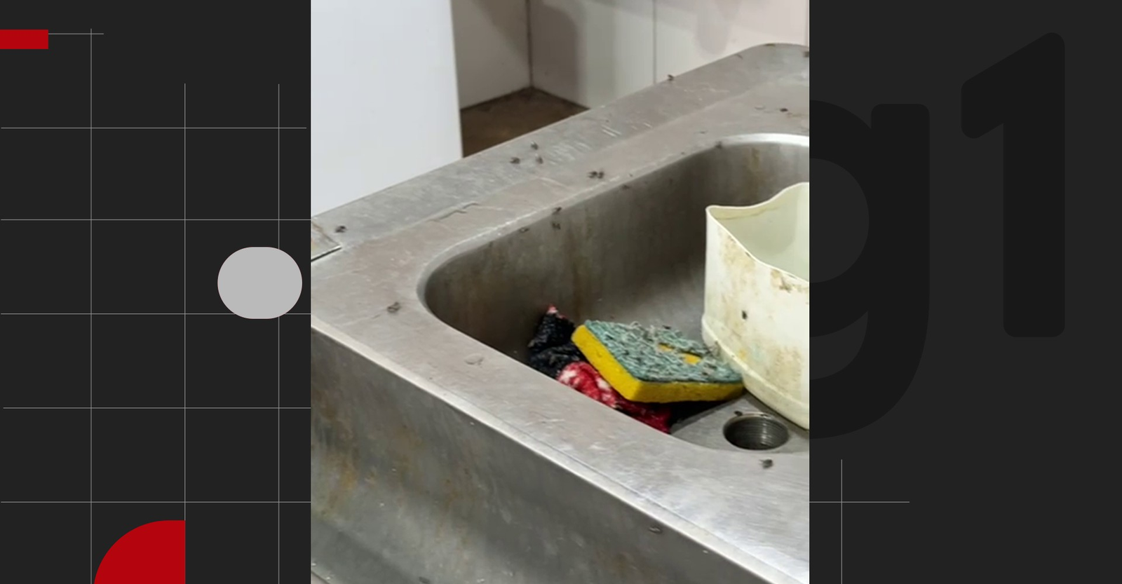 Instituto Médico Legal de Guarabira, no Brejo da Paraíba, é interditado pelo CRM-PB por problemas de higiene | G1