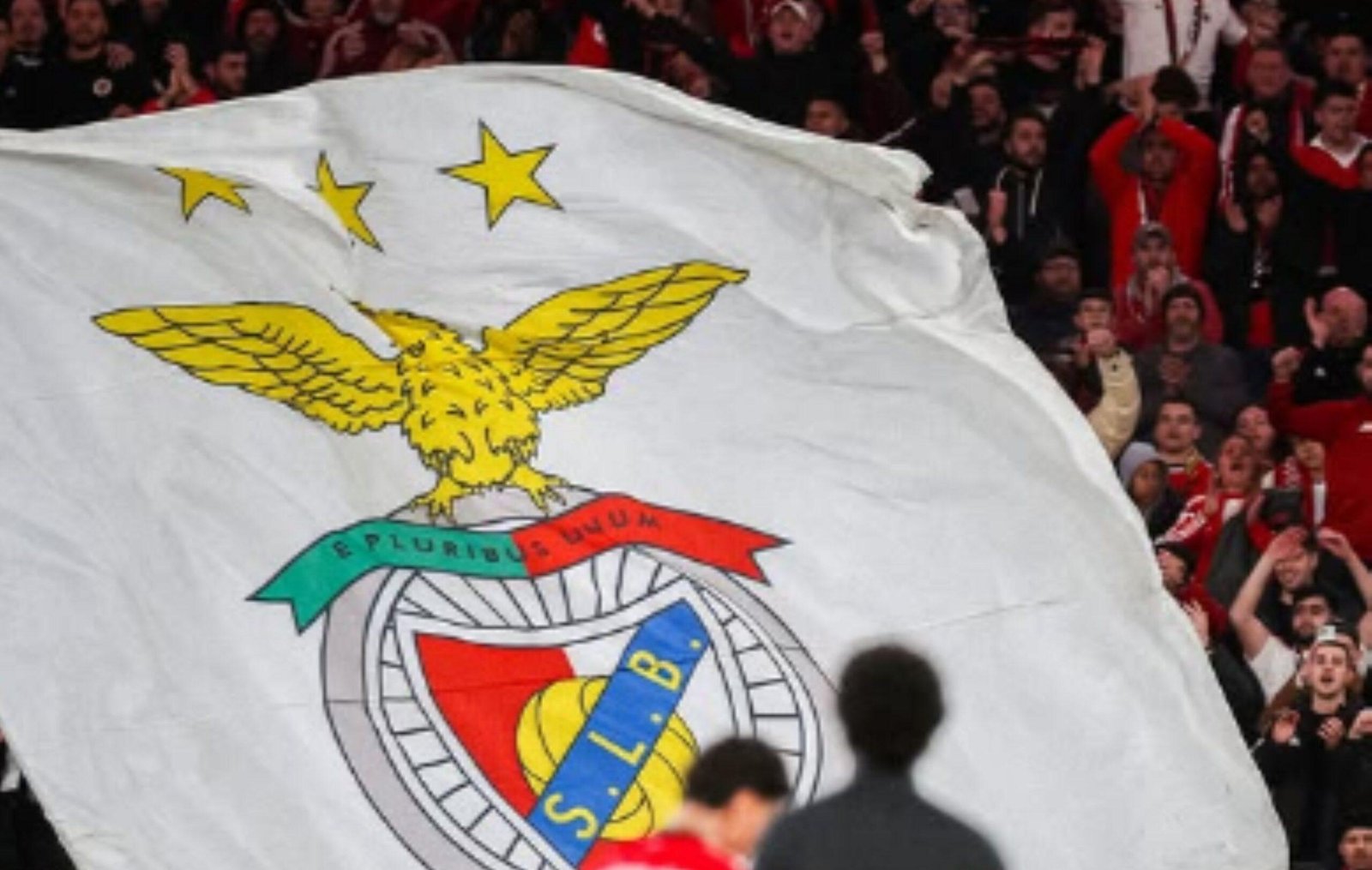 Caso Vini Jr.: Benfica pune cinco sócios por racismo na Champions