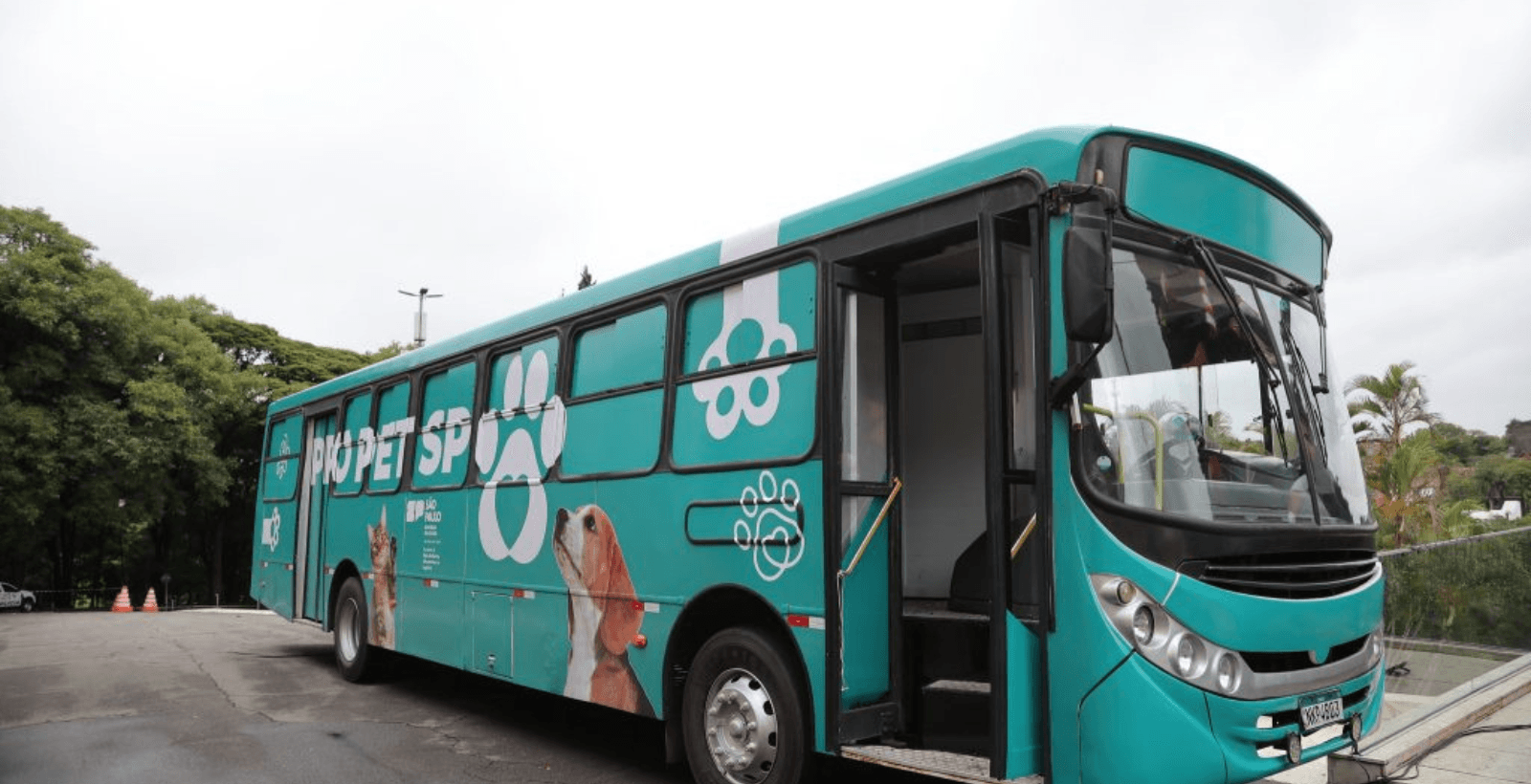 Programa Pró Pet SP chega a Olímpia com vagas para cães e gatos