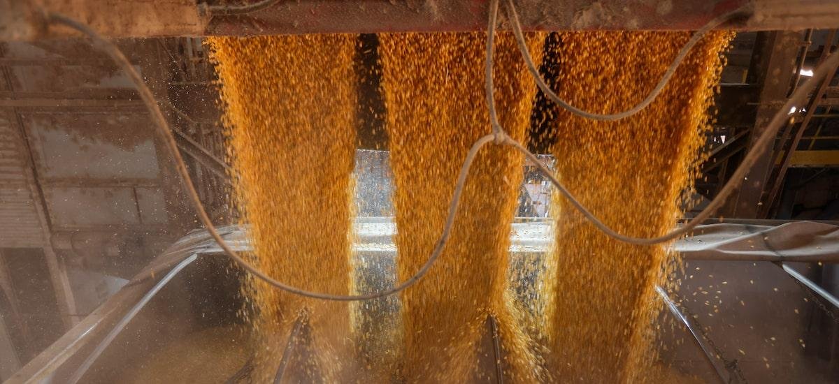 Exportação recorde: Veja em cinco gráficos o desempenho da balança em 2025