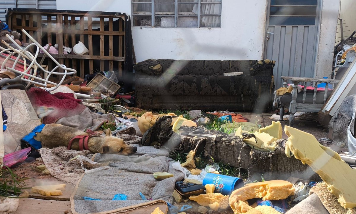 Mulher é detida e multada em R$ 3 mil por maus-tratos a animais | G1