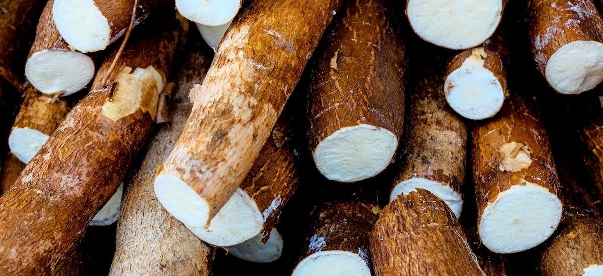 O melhor jeito de comer mandioca para aproveitar benefícios