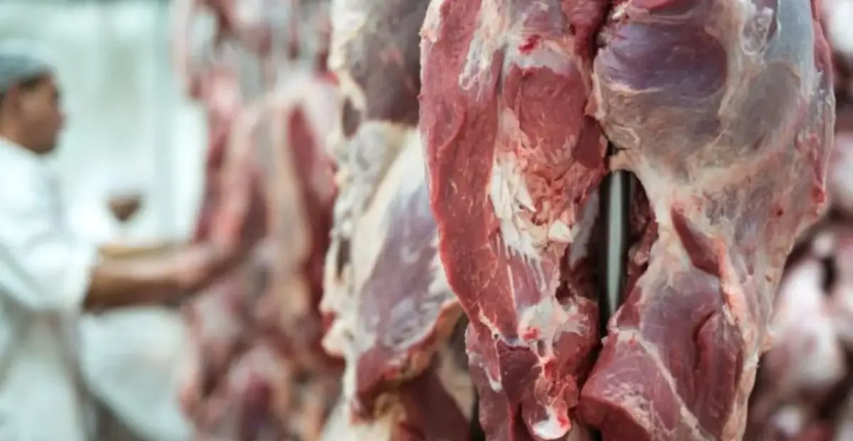 Acordo Mercosul–União Europeia cria novas cotas para proteínas animais