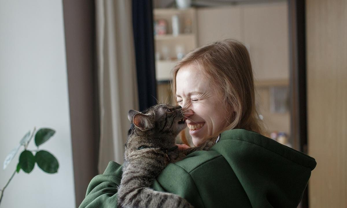 Gatos podem ajudar na luta contra o câncer, sugere novo estudo