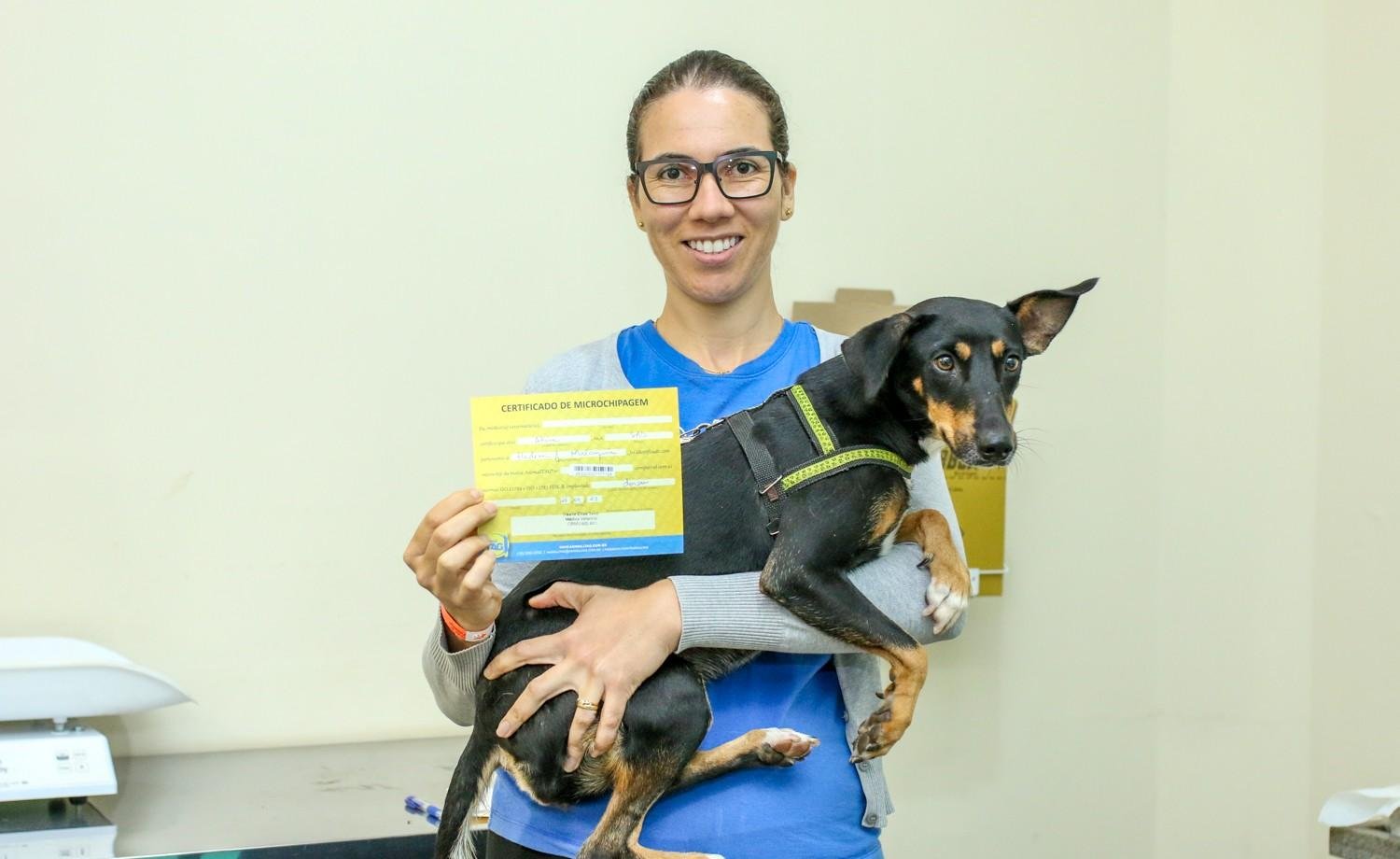 Castração gratuita Subea em Campo Grande: locais e como participar | G1