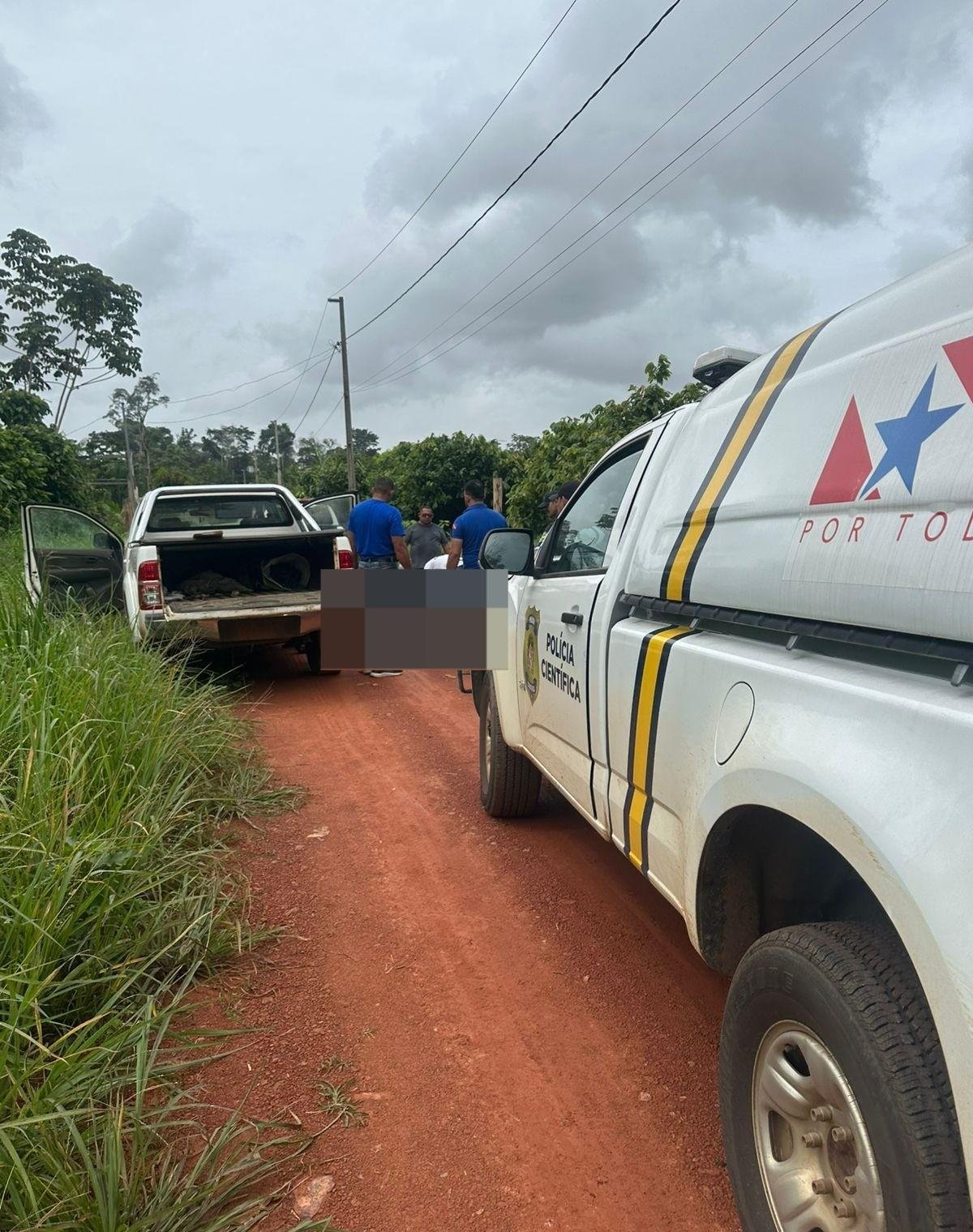Idoso é encontrado morto dentro de caminhonete no sudoeste do Pará | G1