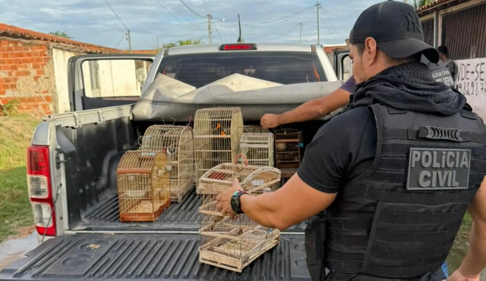 Homem é detido suspeito de manter pássaros em situação de maus-tratos