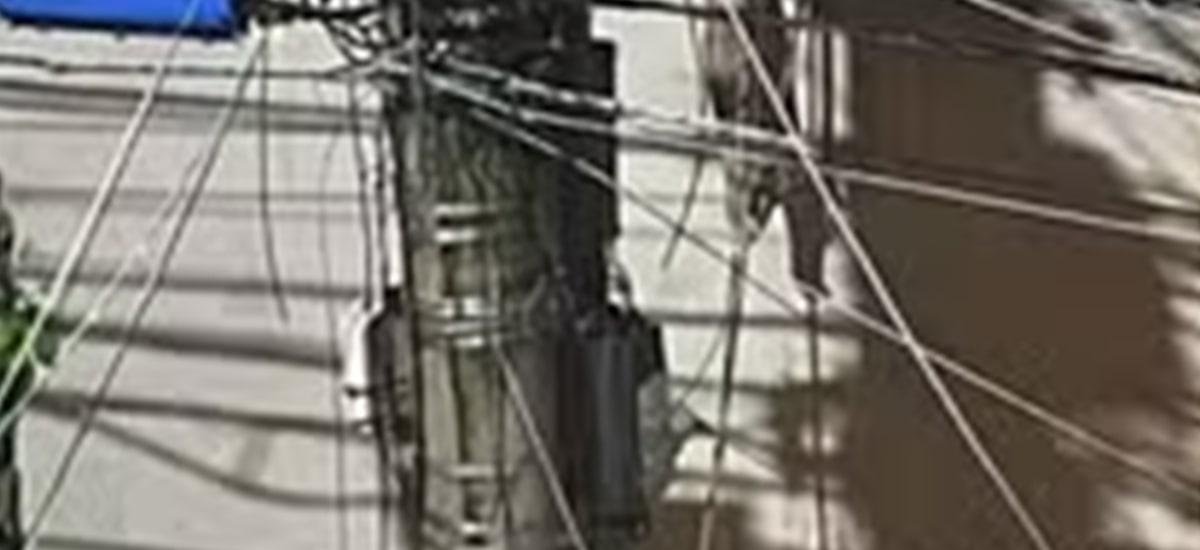 Mulher passa 3h agarrada a poste durante enxurrada em MG: ‘Vi minha cachorrinha indo embora na água’