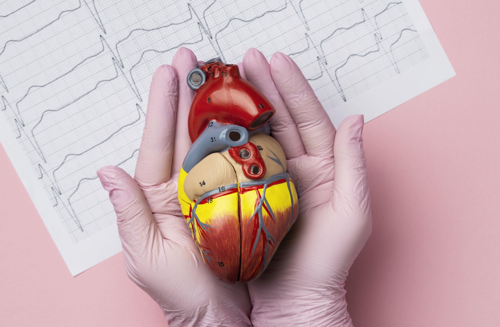 Harvard: estudo revela o segredo para a saúde do coração (e não está na alimentação com pouco carboidrato ou gordura)