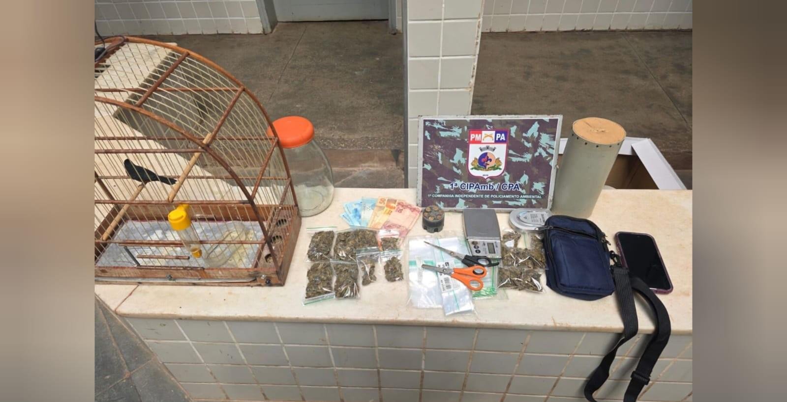 PM flagra tráfico e crime ambiental durante ronda em Santarém | G1