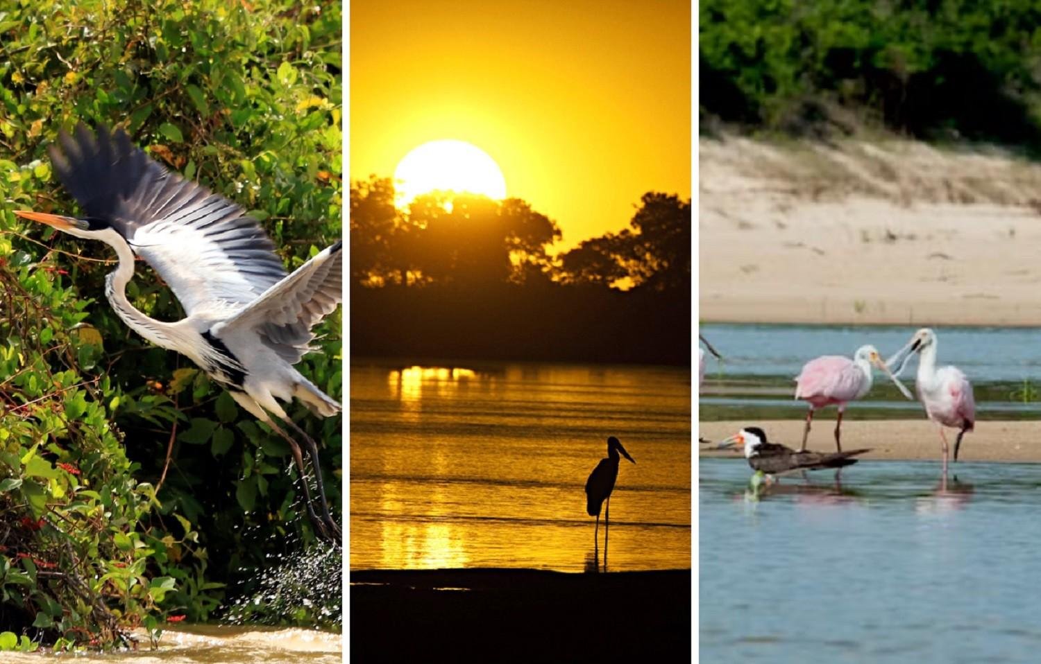 Conheça parque estadual que pode virar destino do ecoturismo no TO | G1