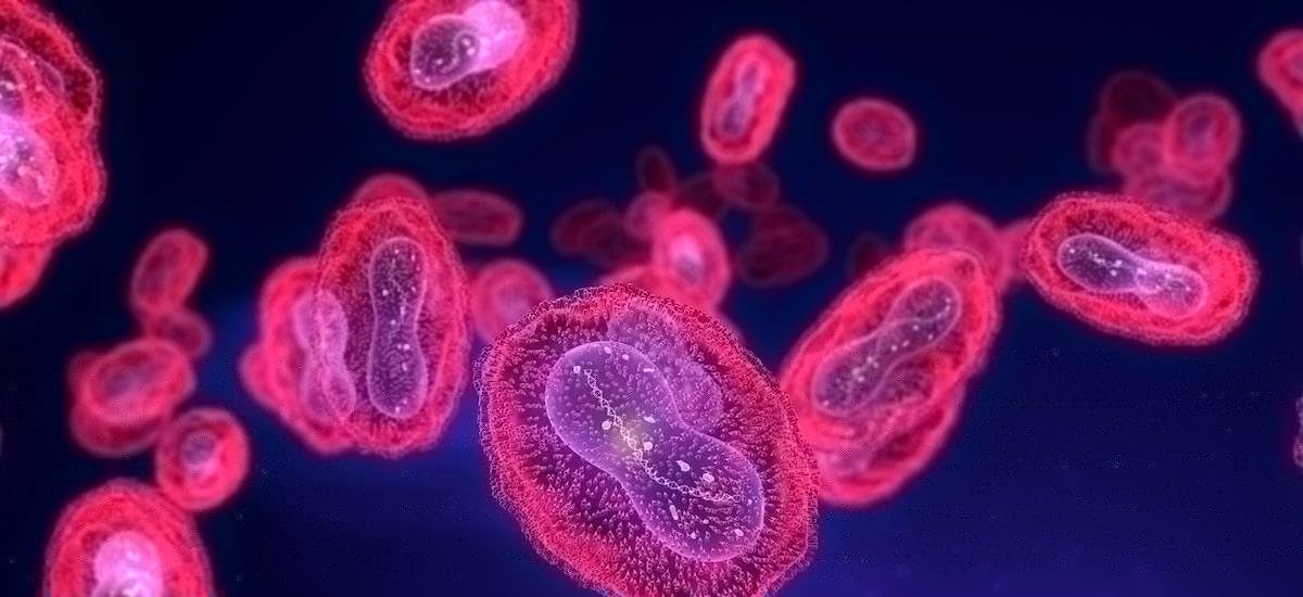 Brasil se aproxima de 90 casos confirmados de mpox