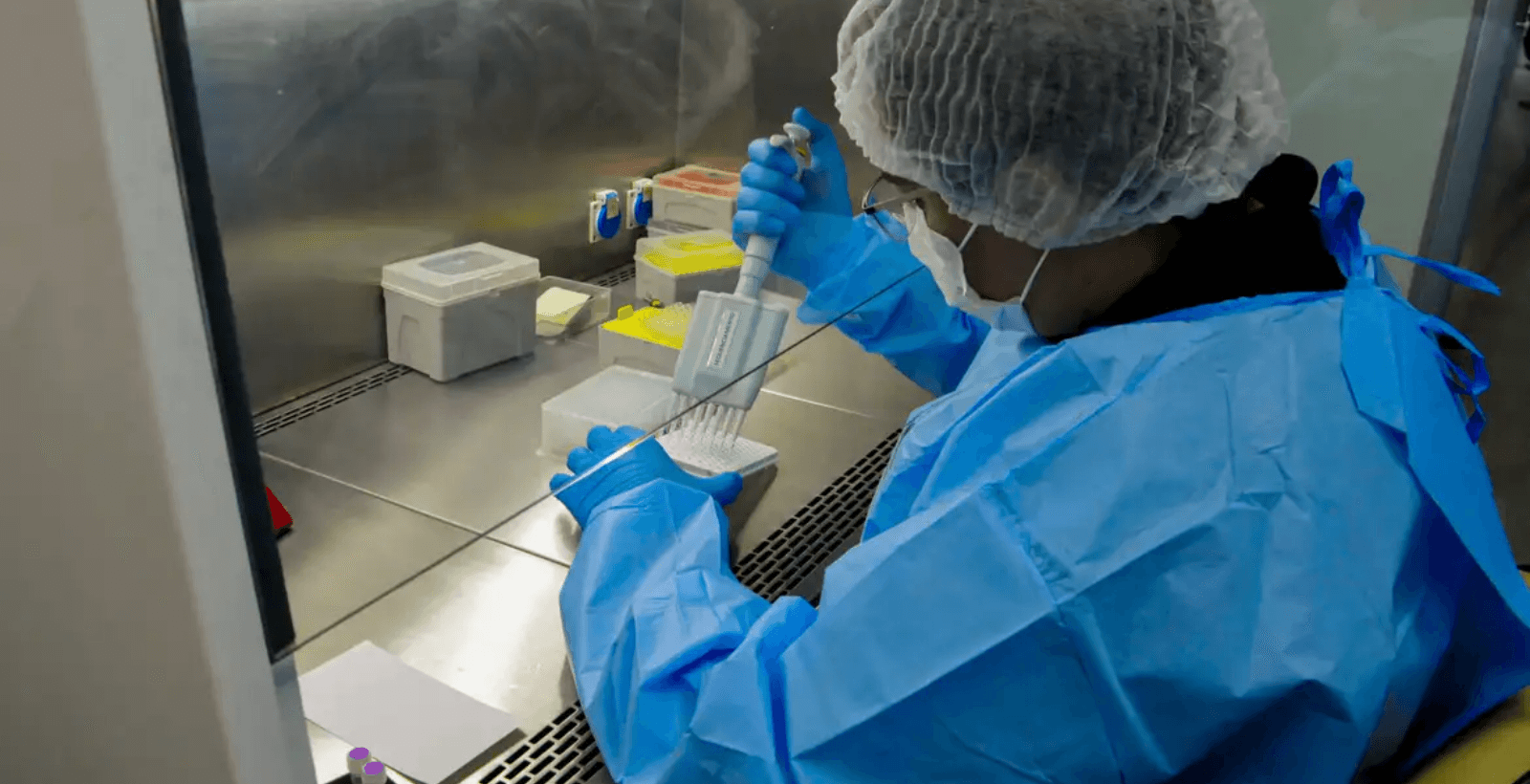 Ciência valida planta milenar como aliada contra a calvície. entenda