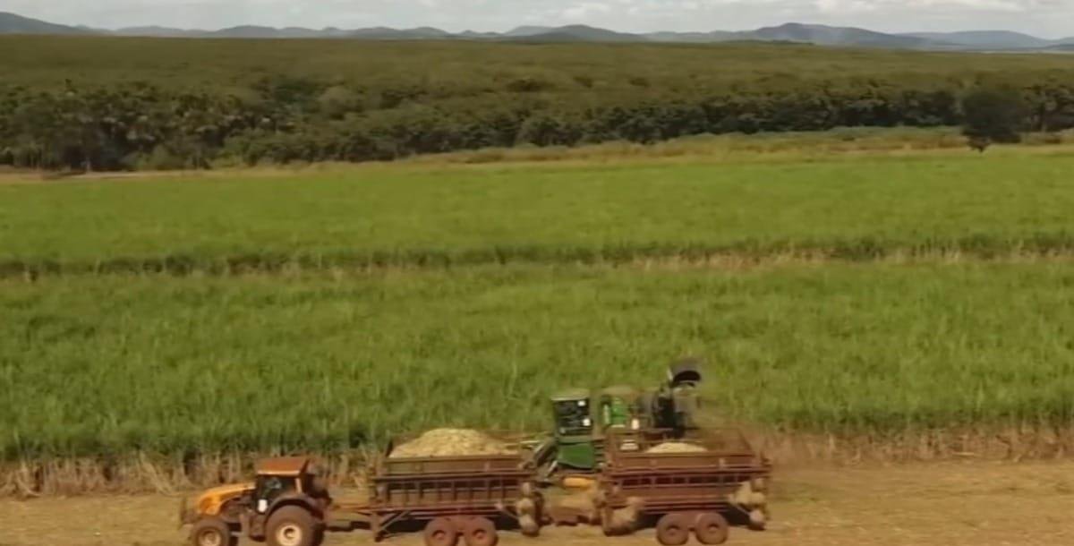 Guerra ameaça fornecimento de fertilizantes e exportações brasileiras