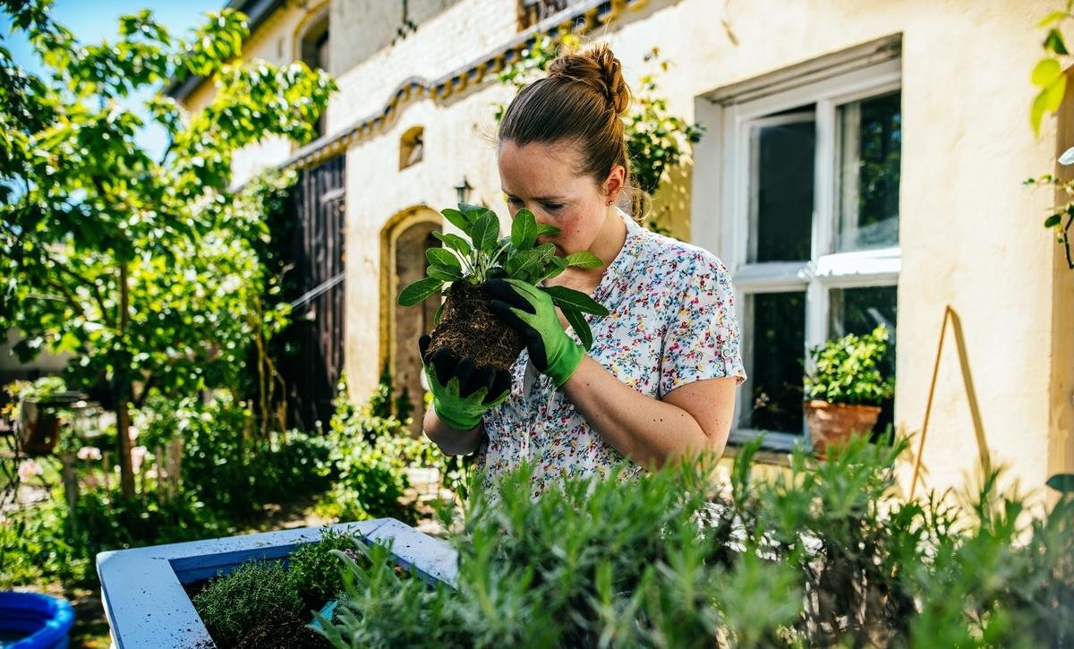 Como transformar casca de banana em fertilizante natural para plantas