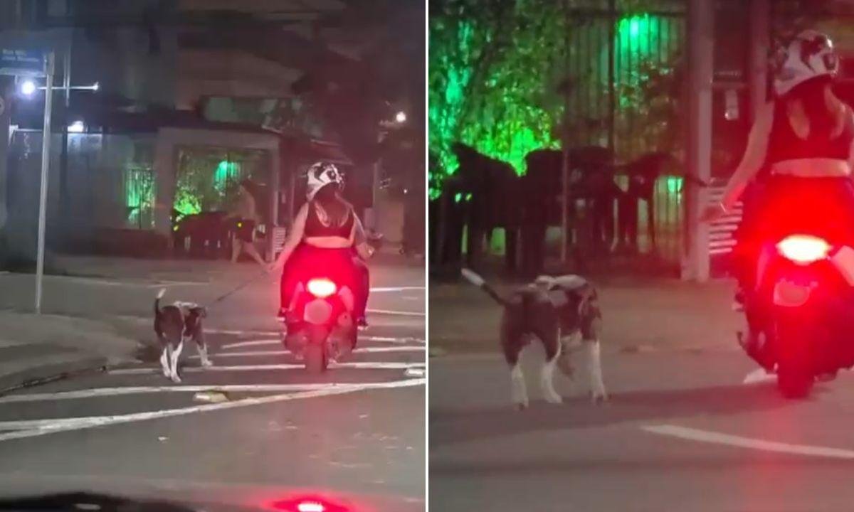 Casal em moto é flagrado puxando cachorro pela coleira; VÍDEO | G1