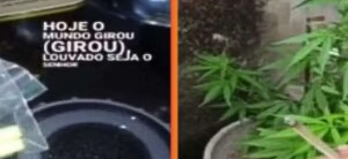 Polícia prende seis suspeitos de vender doces com drogas em universidade de Fortaleza