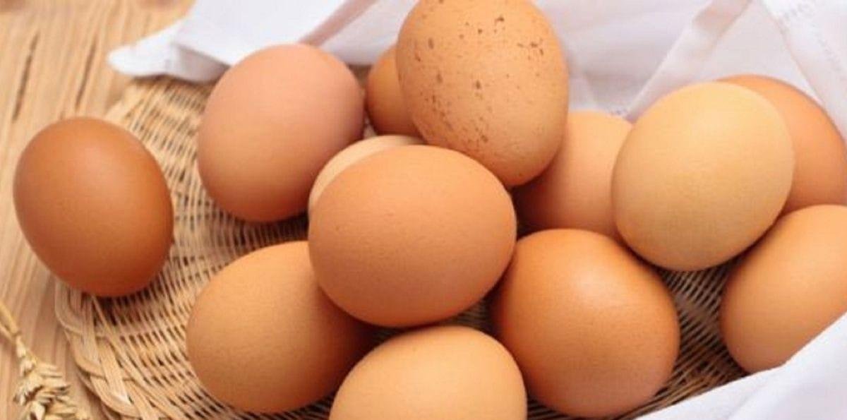 Exportações de ovos batem recorde de volume e receita em 2025, diz ABPA