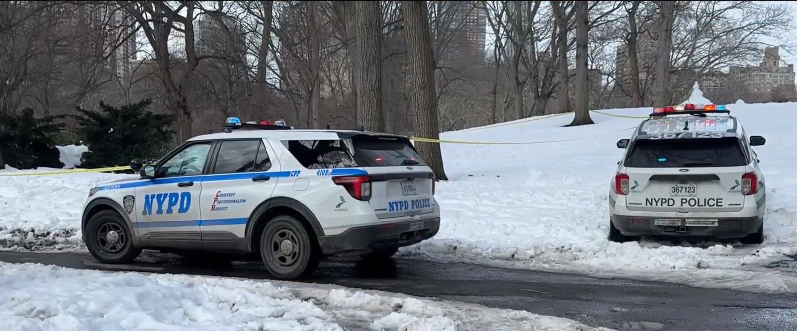 Corpo é encontrado debaixo de pilha de neve no Central Park e polícia abre investigação | G1