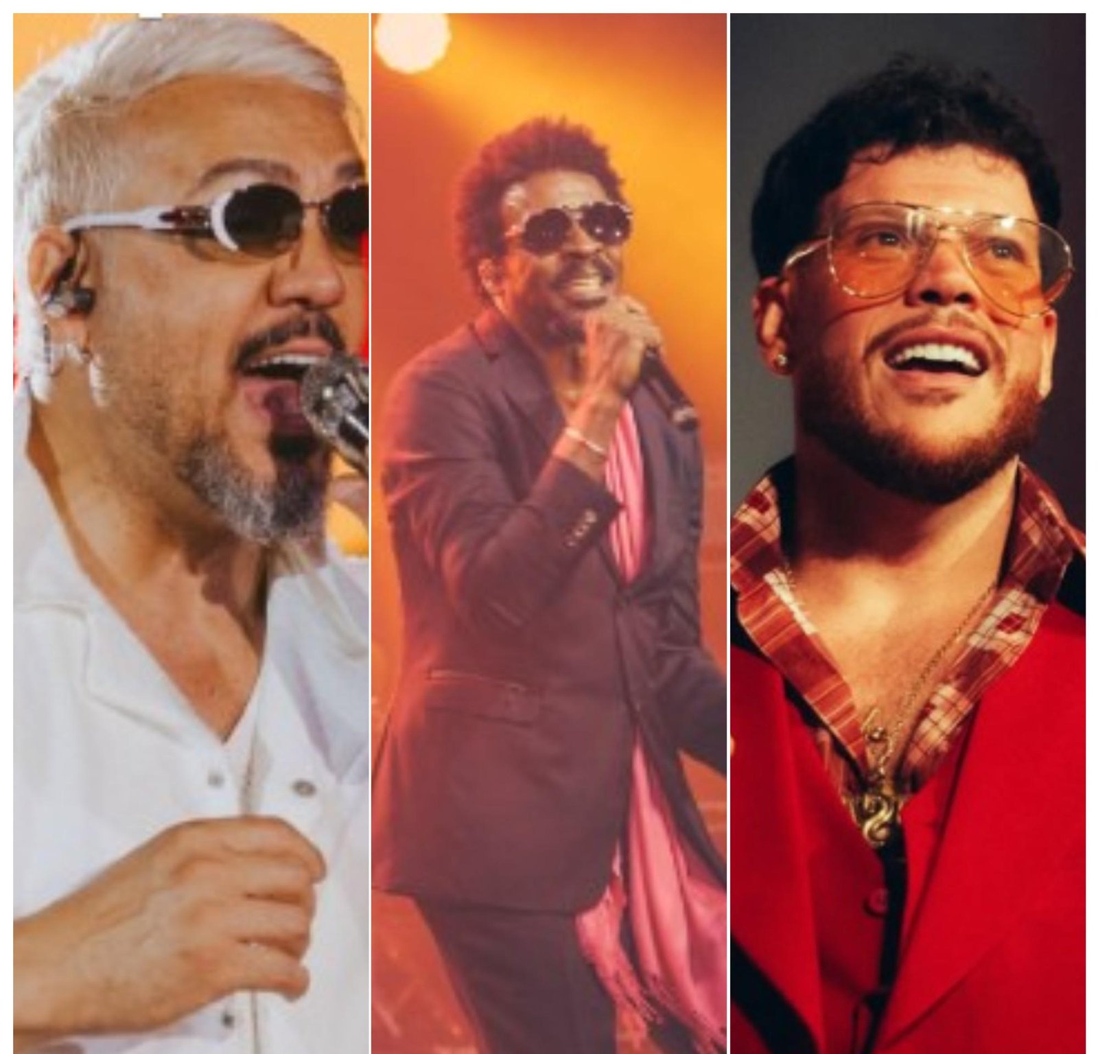 Terreirão do Samba terá 10 dias de shows no Carnaval 2026 | G1