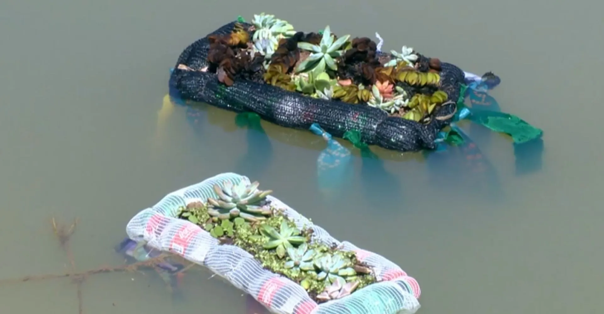 'Ilhas flutuantes': estruturas com plantas e materiais reutilizados ajudam a purificar a água e podem ser usadas no campo