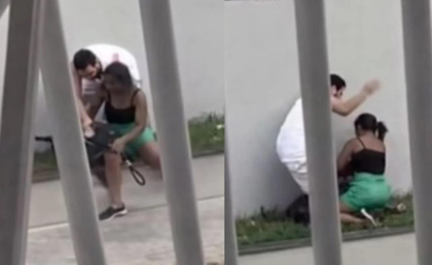 Briga entre tutores de cães termina em agressão física na Bahia