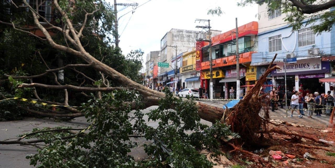 Enel SP diz que energia está 'voltando ao padrão de normalidade'