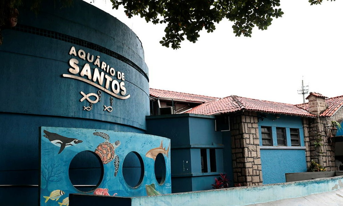 Aquário de Santos segue fechado após obra avançar 9%; contrato rompido | G1