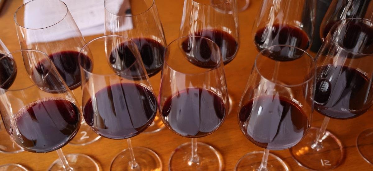 Entre 15 marcas, este suco de uva conquistou o 1º lugar em teste com especialistas